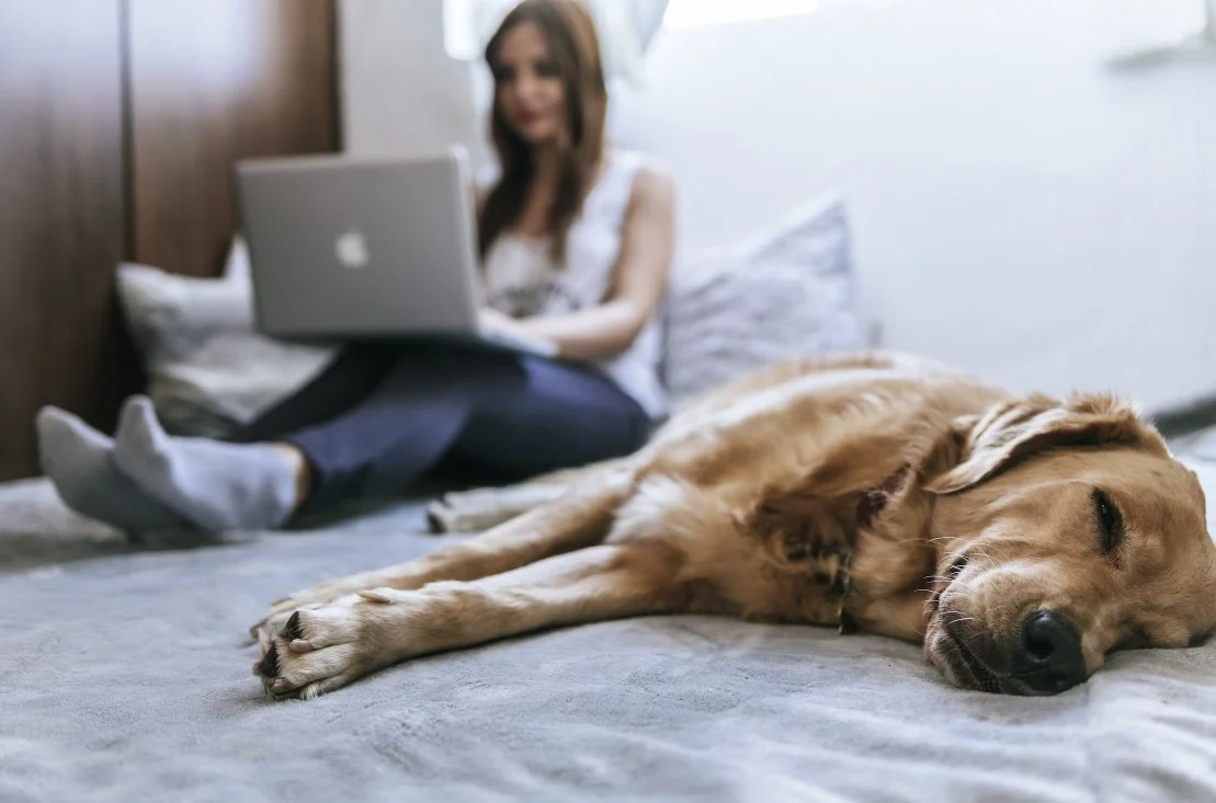 luxury smart beds