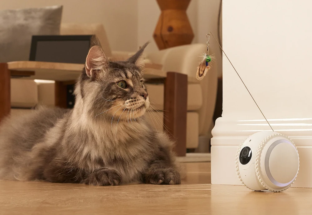 best security camera for pets