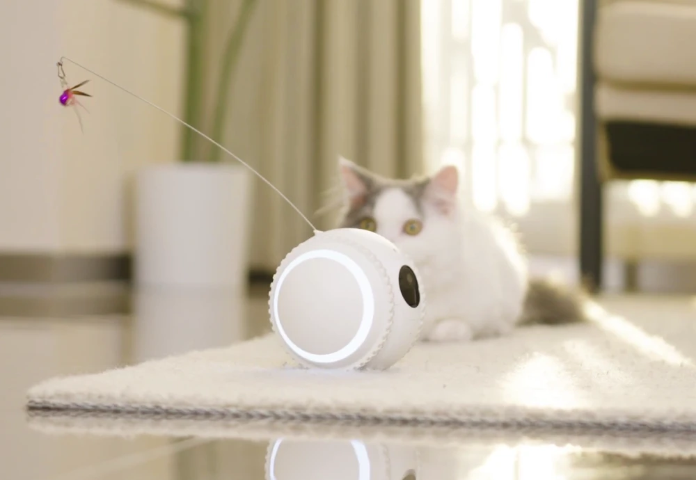 best smart pet camera