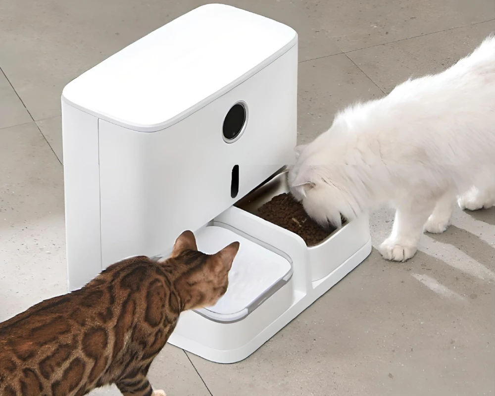 automatic pet feeder for 2 cats