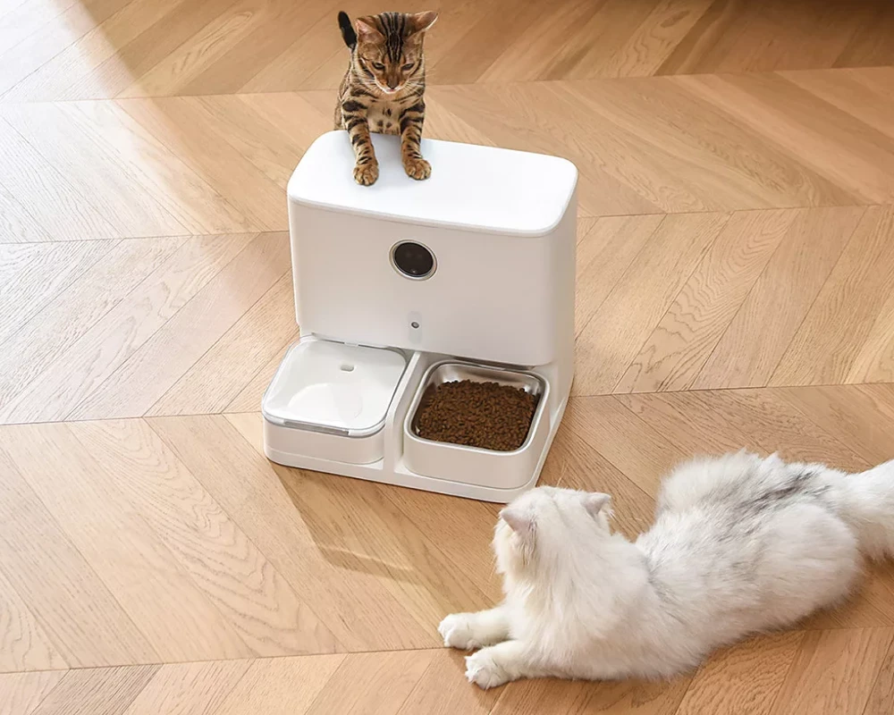 pet automatic food dispenser