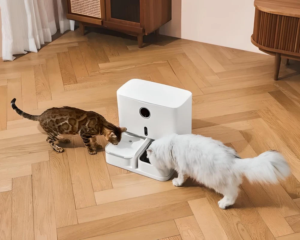 pet automatic food dispenser